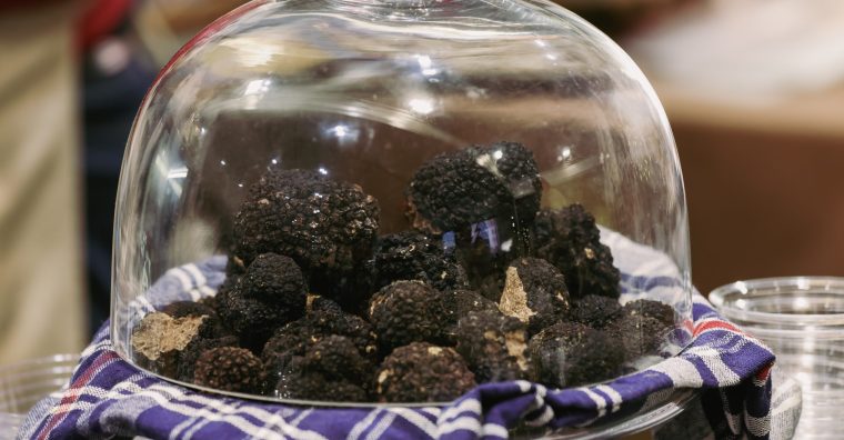 Illustration de l'article Sarlat fête la truffe !