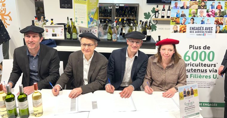 Illustration de l'article Coopérative U lance une filière viticole avec Plaimont