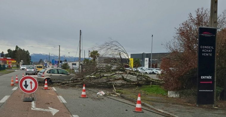 Illustration de l'article Tempête Nils : L’URSSAF et le CPSTI soutiennent les professionnels