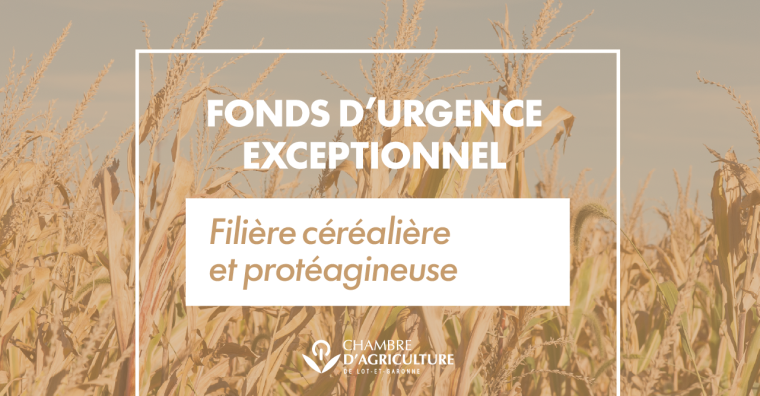 Illustration de l'article Agriculture – Un fonds d’urgence de 40 millions d’euros