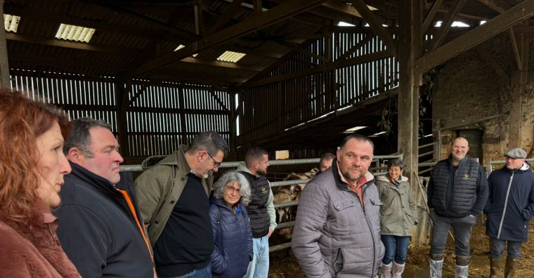 Illustration de l'article L’agriculture du Périgord en chiffres