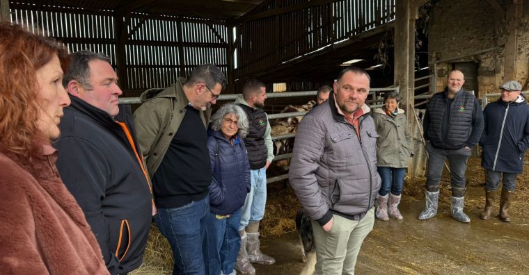 Illustration de l'article L’agriculture du Périgord en chiffres