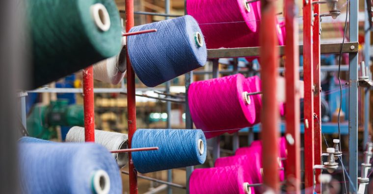 Illustration de l'article Val d’Arizes : vent de fraîcheur sur la laine