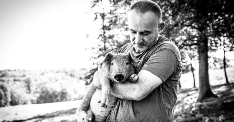 Illustration de l'article Agriculture : un fonds inédit pour soutenir la croissance