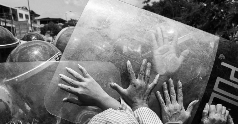 Illustration de l'article Pomerol, capitale de la photo