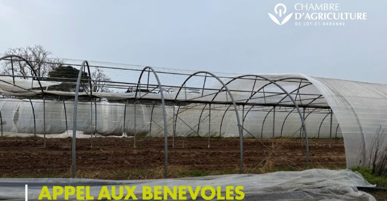 Illustration de l'article Agriculture – Un appel aux bénévoles