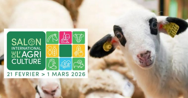 Illustration de l'article Agriculture – Le retour du 47 au Salon !