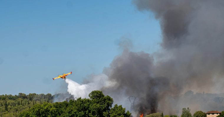Illustration de l'article Bientôt un pélicandrome à Auch ?