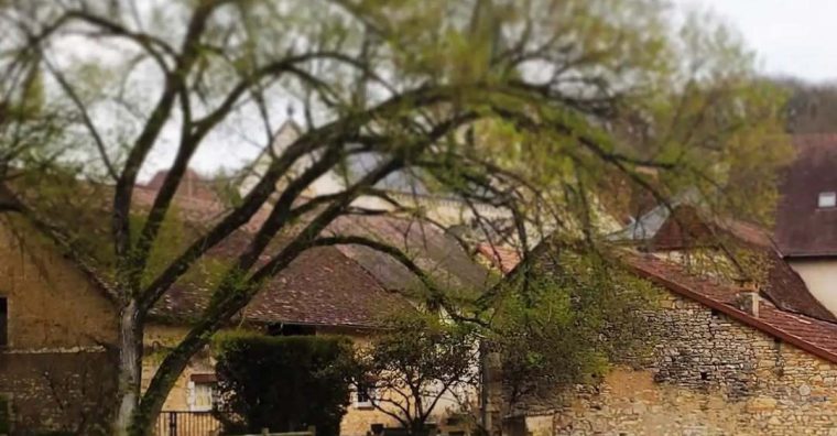 Illustration de l'article Vincent Lucas, chef étoilé, un sacré « Énergumène »