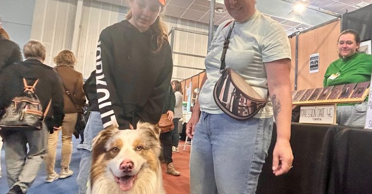 Illustration de l'article Tarbes – Le parc-expo fait le plein avec deux salons atypiques