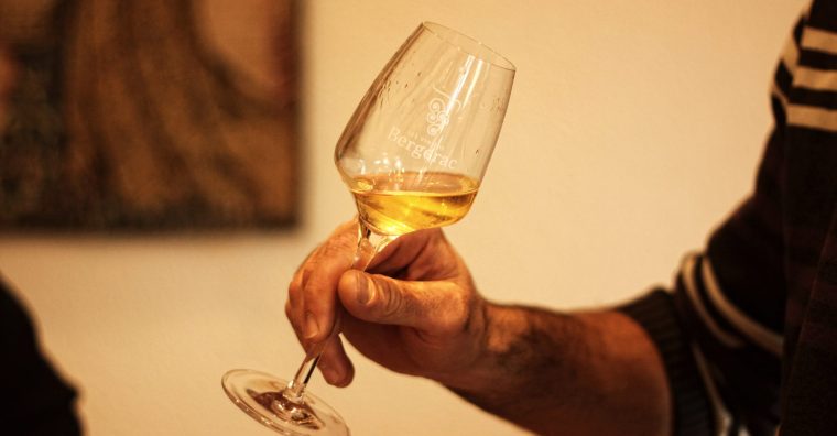 Illustration de l'article Trophées de l’œnotourisme : des Périgourdins sélectionnés