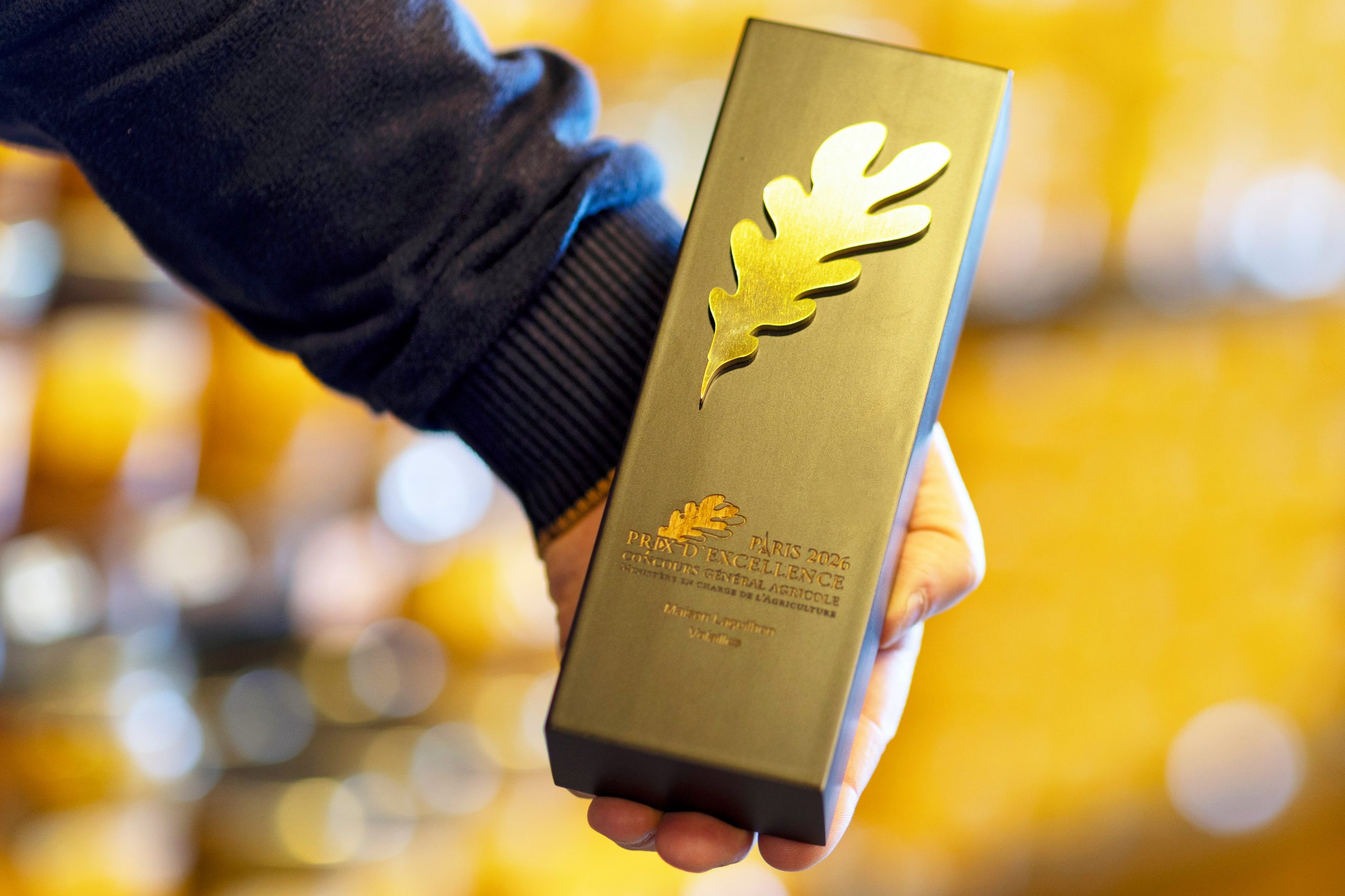 Éric Laguilhon, Maison Laguilhon