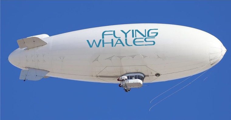 Illustration de l'article Premiers recrutements pour l’école Flying Whales à Agen