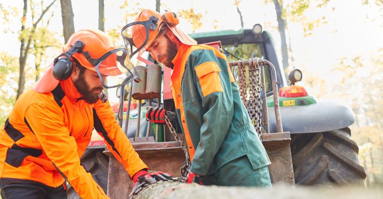 Illustration de l'article Le CFA-CFPPA de Vic-en-Bigorre ouvre ses portes le 21 mars prochain