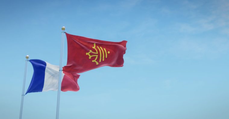 Illustration de l'article 140 projets d’investissements directs étrangers en Occitanie en 2025