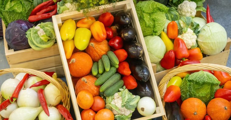 Illustration de l'article CTIFL : Une journée sur la performance et la transition agroécologique