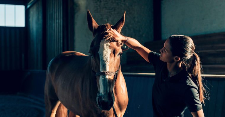 Illustration de l'article Agriculture – Inauguration de la MFR à Thiviers