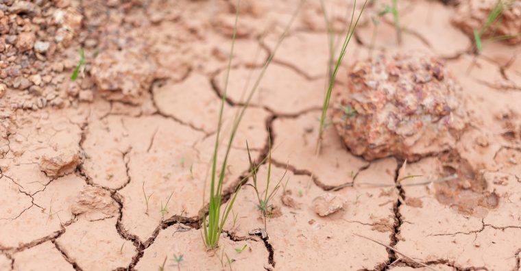 Illustration de l'article CCI de la Dordogne : séminaire pour apprendre à anticiper la sécheresse