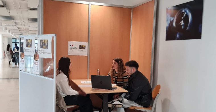 Illustration de l'article 150 entretiens individuels lors du job dating de l’UPPA