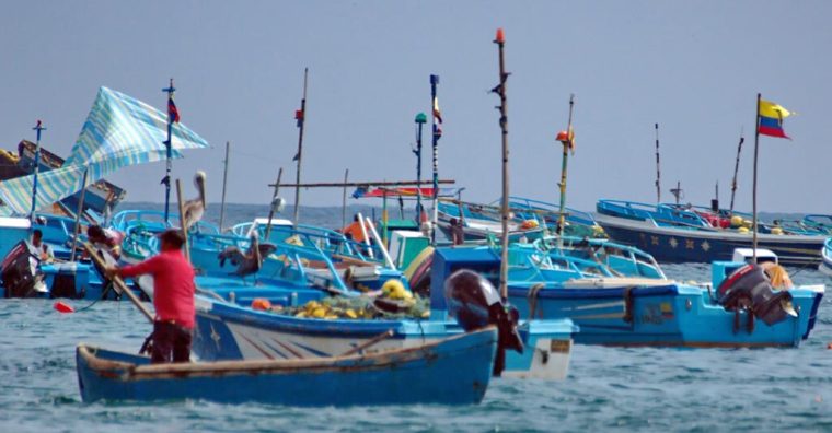 Illustration de l'article CLS déploie 2 000 balises pour surveiller la pêche artisanale en Équateur