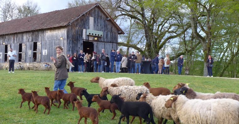 Illustration de l'article Intense Périgord noir : trois OT pour une soirée d&rsquo;avant-saison