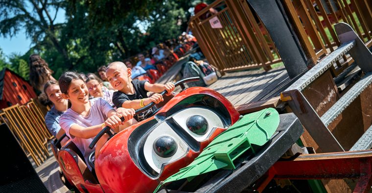 Illustration de l'article Le parc Walygator franchit un nouveau cap en 2026