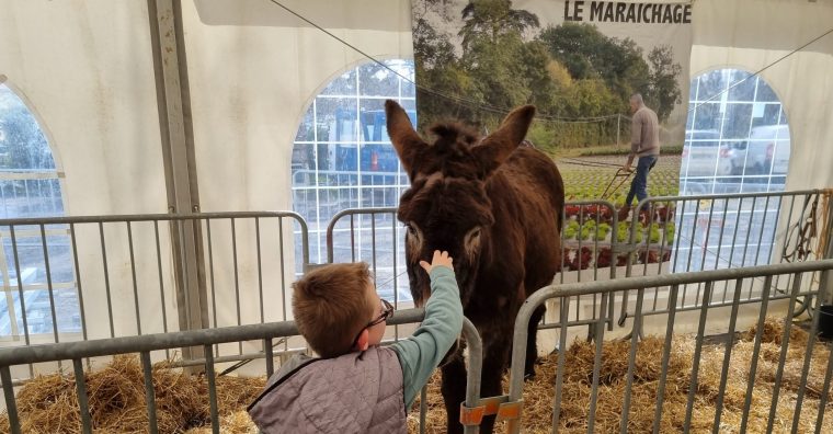 Illustration de l'article Villeneuve-sur-Lot, 4e édition de la Feria agricole & gourmande