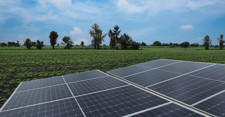 Illustration de l'article Projet agrivoltaïque dans le Sud Dordogne