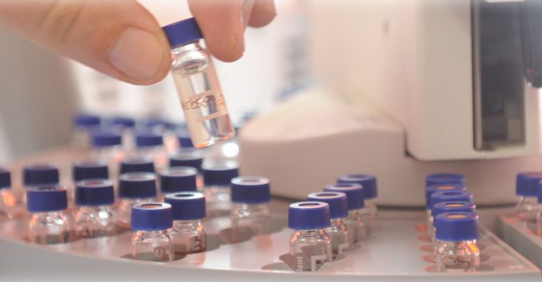 Illustration de l'article M2i Group développe une solution de piégeage contre la punaise diabolique