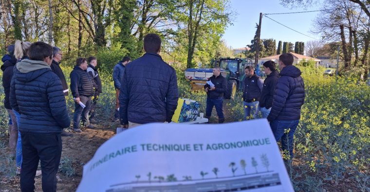 Illustration de l'article Euralis lance une nouvelle Organisation de Producteurs dédiée au soja, au tournesol et au colza