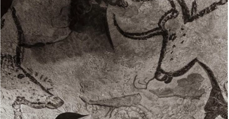 Illustration de l'article Lascaux. Histoire et Préhistoire pour le 8 mai