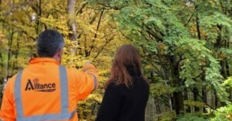 Illustration de l'article Antagnac – La filière bois en AG