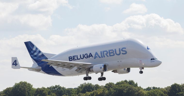 Illustration de l'article Le Beluga fait son entrée à Aeroscopia