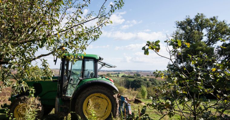 Illustration de l'article Agriculture – Les filières bio en question