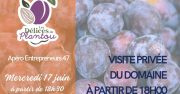 Entreprise – Les Délices du Plantou à découvrir