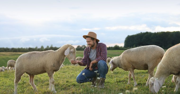 Illustration de l'article Prix de la dynamique agricole : les candidatures sont ouvertes