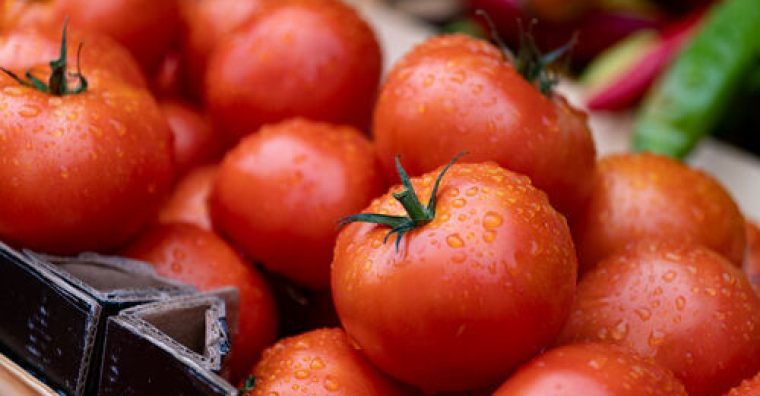 Illustration de l'article Marmande fête sa tomate