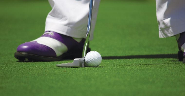 Illustration de l'article Le Networking Golf Club souhaite étendre son réseau au Pays basque