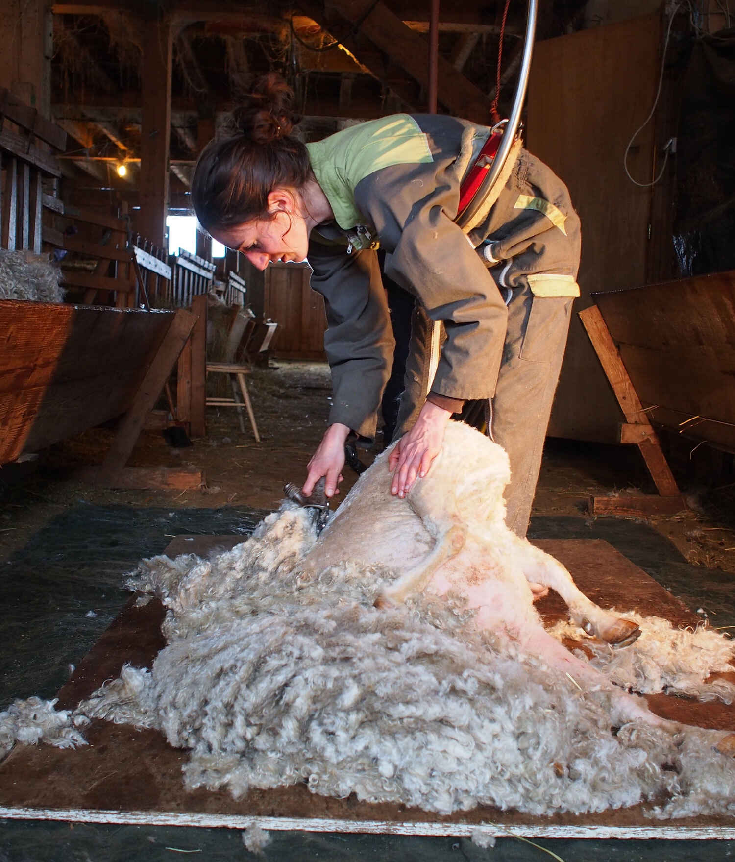 Le Mohair d’Aulon, Céline Chemla