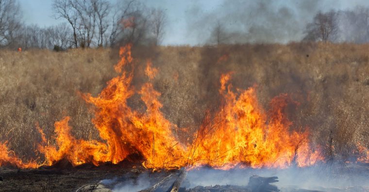 Illustration de l'article Incendies en Gironde : la Dordogne s’organise