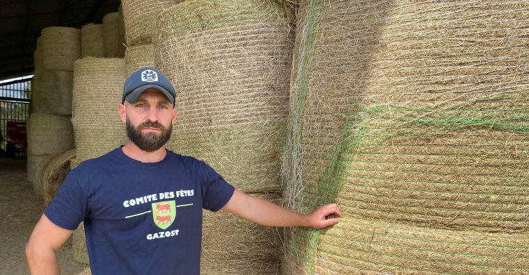 Illustration de l'article Agriculture : « Il ne reste que les mauvaises herbes, tout le reste est sec »