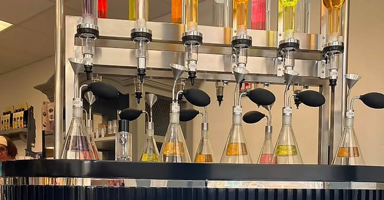 LxSir, bougies parfumées végétales