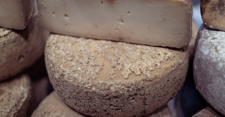 Foire aux fromages, Tardets-Sorholus