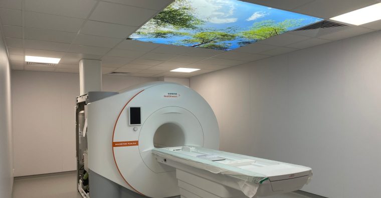 Illustration de l'article Vic-en-Bigorre : une offre de soins consolidée