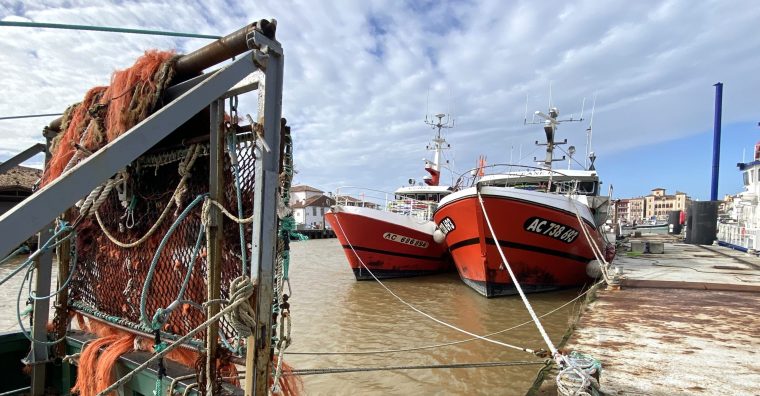 Illustration de l'article Golfe de Gascogne : un nouvel arrêt de la pêche en 2027
