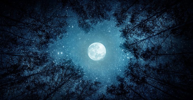 Illustration de l'article La nuit en lumière à Séméac