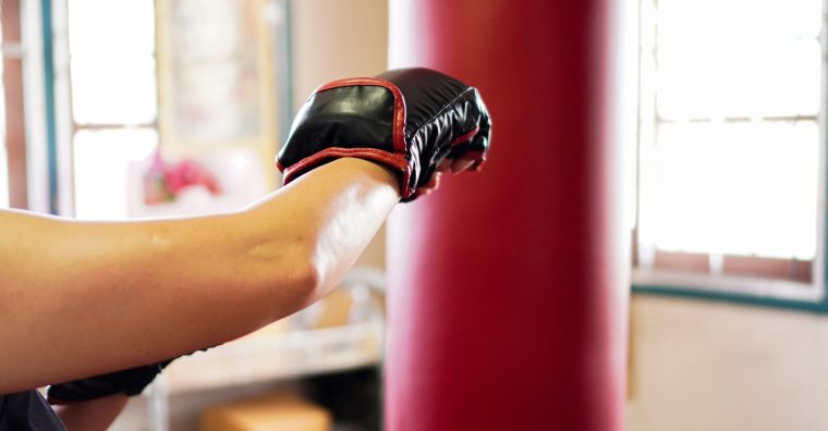 Illustration de l'article Boxe : le club de Trélissac distingué