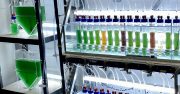 L’APESA célèbre 30 ans de recherche appliquée et d’accompagnement des transitions