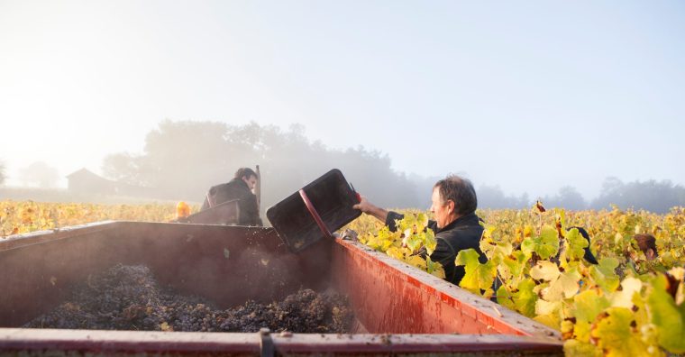 Vins de bergerac, Laurent Colombier