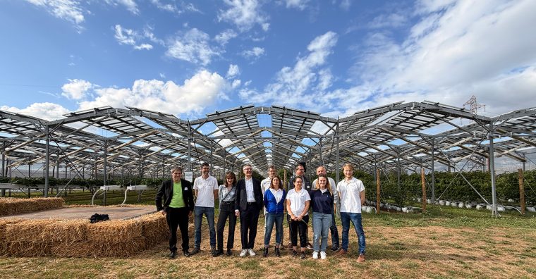 Illustration de l'article Énergie – L’agrivoltaïsme en jeu